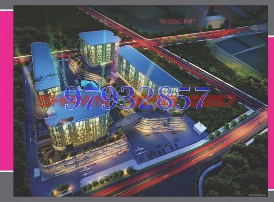 OXLEY BIZHUB (D14), Factory #89163572